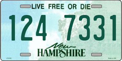 NH license plate 1247331