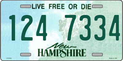 NH license plate 1247334