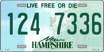 NH license plate 1247336