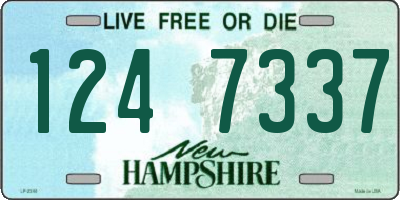 NH license plate 1247337
