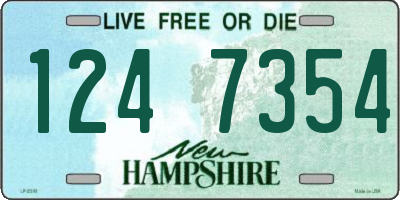 NH license plate 1247354