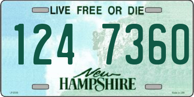 NH license plate 1247360