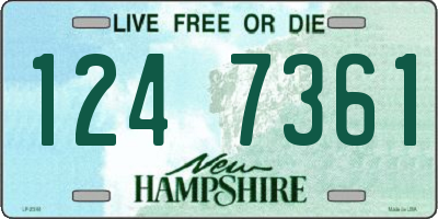 NH license plate 1247361