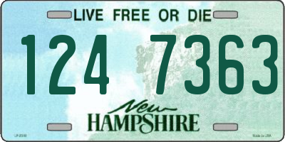 NH license plate 1247363