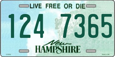 NH license plate 1247365