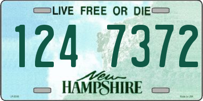 NH license plate 1247372