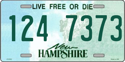 NH license plate 1247373