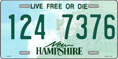 NH license plate 1247376