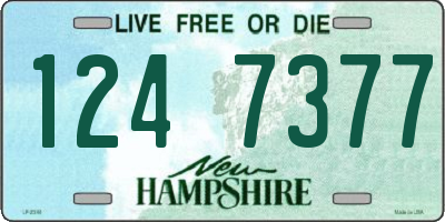 NH license plate 1247377