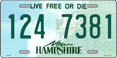 NH license plate 1247381