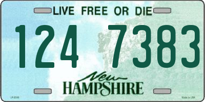 NH license plate 1247383