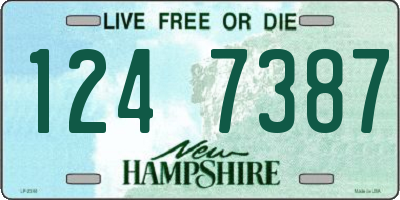 NH license plate 1247387