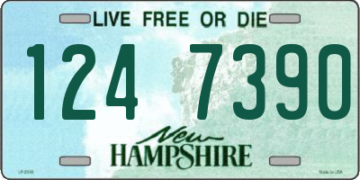 NH license plate 1247390