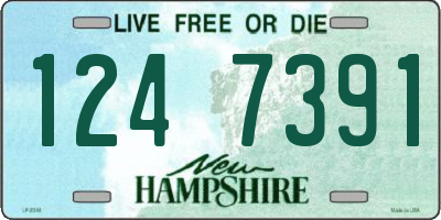 NH license plate 1247391