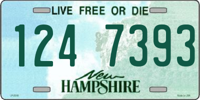 NH license plate 1247393