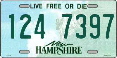 NH license plate 1247397