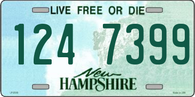 NH license plate 1247399
