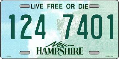 NH license plate 1247401