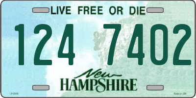 NH license plate 1247402