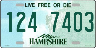 NH license plate 1247403