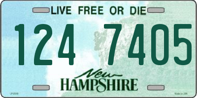 NH license plate 1247405