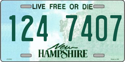 NH license plate 1247407