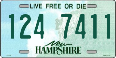 NH license plate 1247411
