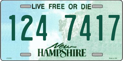 NH license plate 1247417