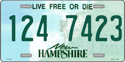 NH license plate 1247423
