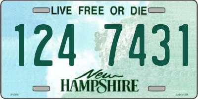 NH license plate 1247431