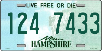 NH license plate 1247433