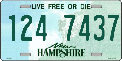 NH license plate 1247437