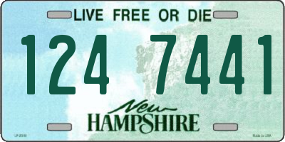 NH license plate 1247441