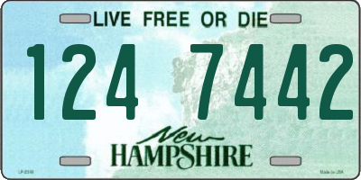 NH license plate 1247442
