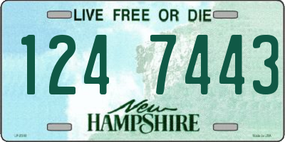 NH license plate 1247443
