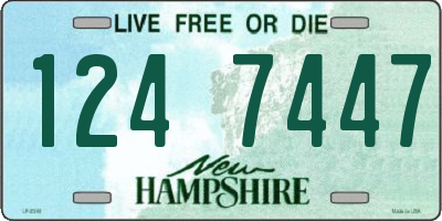 NH license plate 1247447