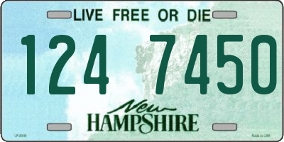 NH license plate 1247450