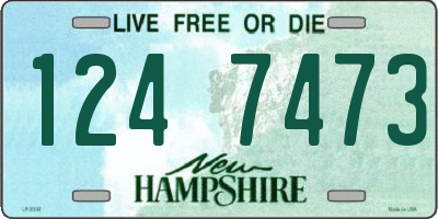 NH license plate 1247473