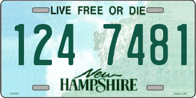 NH license plate 1247481