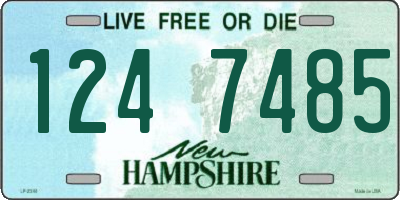 NH license plate 1247485