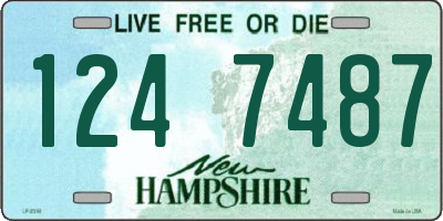 NH license plate 1247487