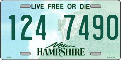 NH license plate 1247490