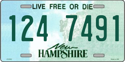 NH license plate 1247491