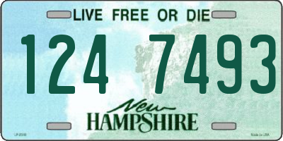NH license plate 1247493