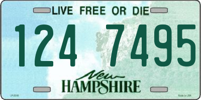 NH license plate 1247495