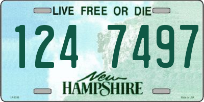 NH license plate 1247497