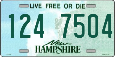 NH license plate 1247504