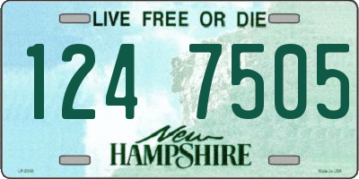 NH license plate 1247505