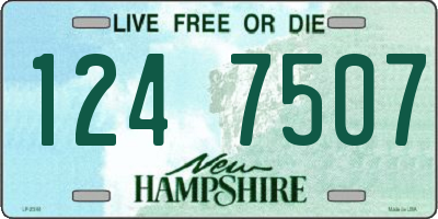 NH license plate 1247507