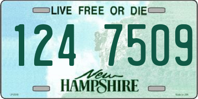 NH license plate 1247509